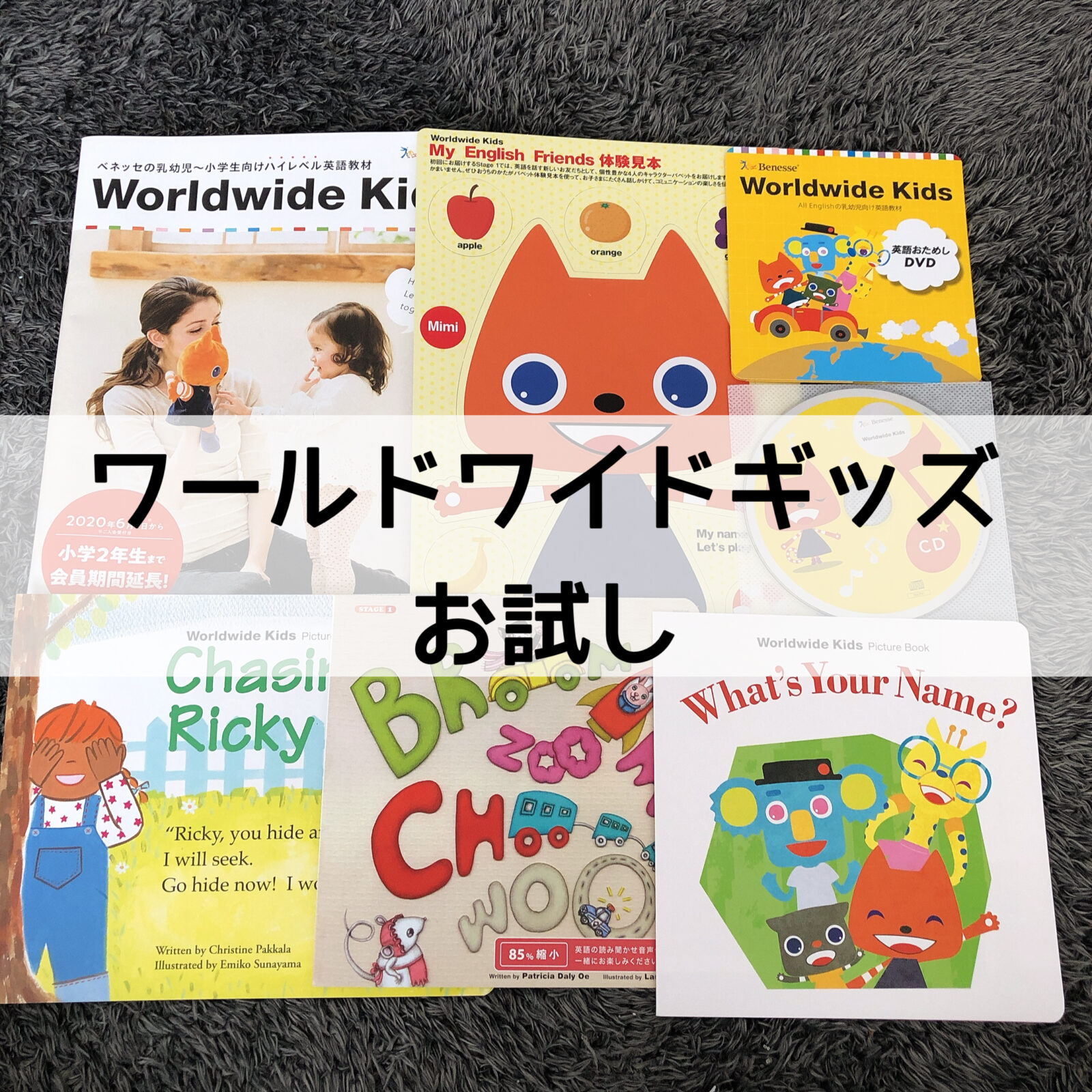 ☆超人気高品質☆ ワールドワイドキッズStage1～6 1歳半〜6歳幼児英語